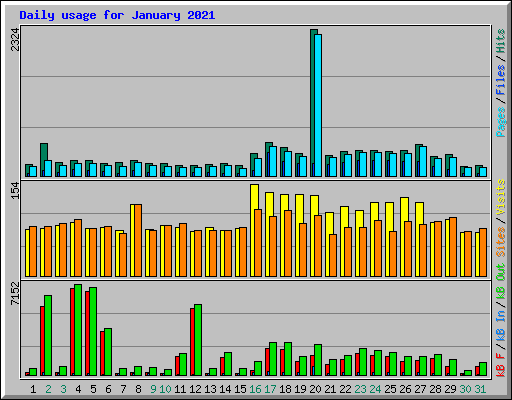 Daily usage for January 2021