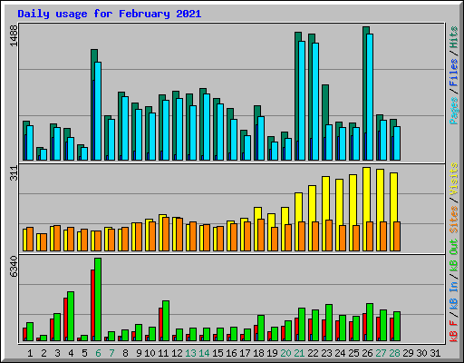 Daily usage for February 2021