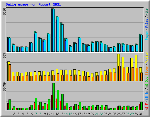 Daily usage for August 2021