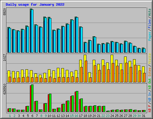 Daily usage for January 2022