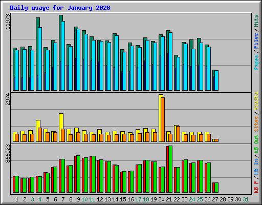 Daily usage for January 2026