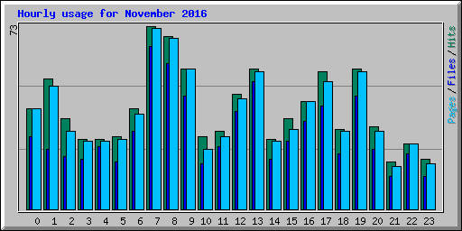 Hourly usage for November 2016