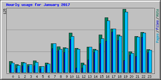 Hourly usage for January 2017