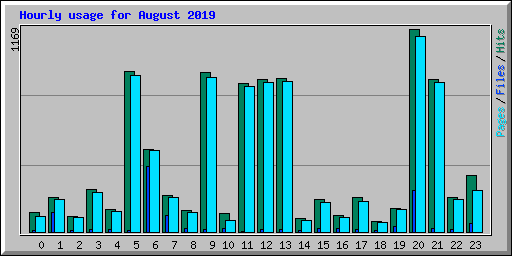 Hourly usage for August 2019