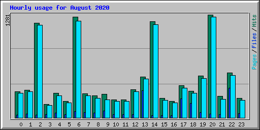 Hourly usage for August 2020