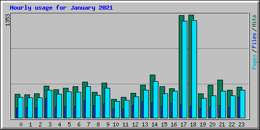 Hourly usage for January 2021