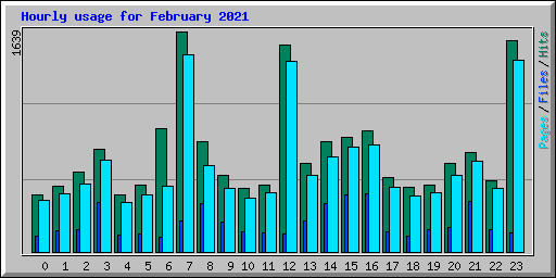 Hourly usage for February 2021