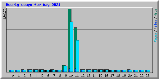 Hourly usage for May 2021