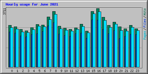 Hourly usage for June 2021