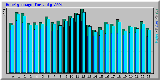 Hourly usage for July 2021