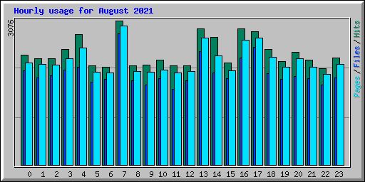 Hourly usage for August 2021