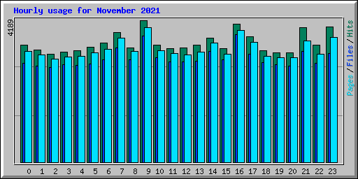 Hourly usage for November 2021