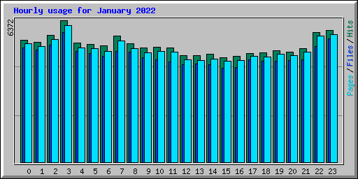 Hourly usage for January 2022