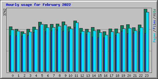 Hourly usage for February 2022