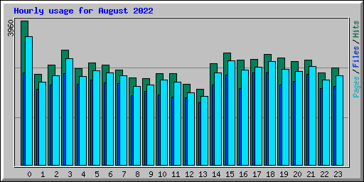 Hourly usage for August 2022