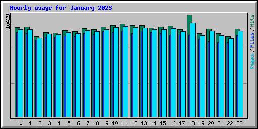 Hourly usage for January 2023