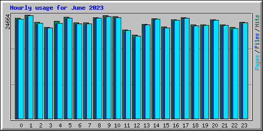 Hourly usage for June 2023