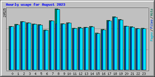 Hourly usage for August 2023