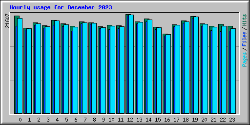 Hourly usage for December 2023