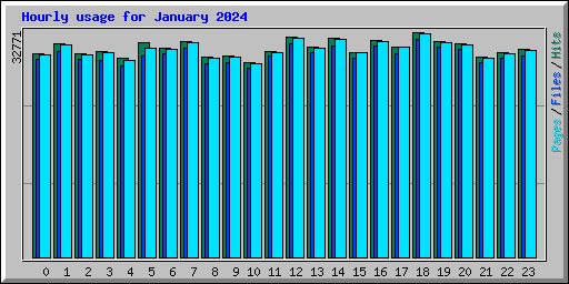 Hourly usage for January 2024