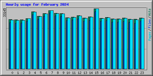 Hourly usage for February 2024