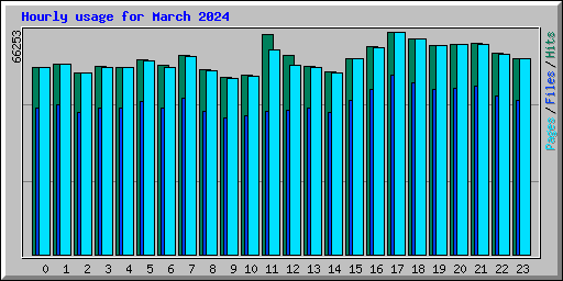 Hourly usage for March 2024