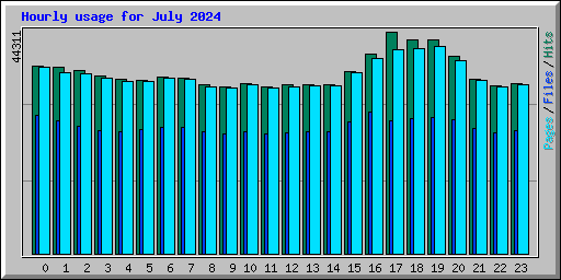 Hourly usage for July 2024