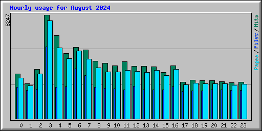 Hourly usage for August 2024