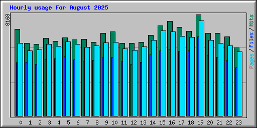 Hourly usage for August 2025