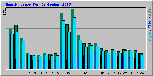 Hourly usage for September 2025