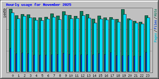 Hourly usage for November 2025