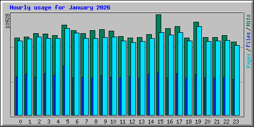 Hourly usage for January 2026