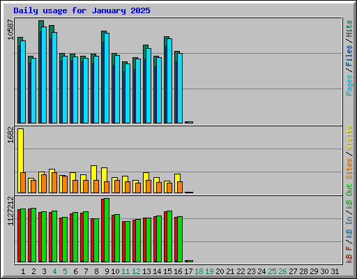 Daily usage for January 2025