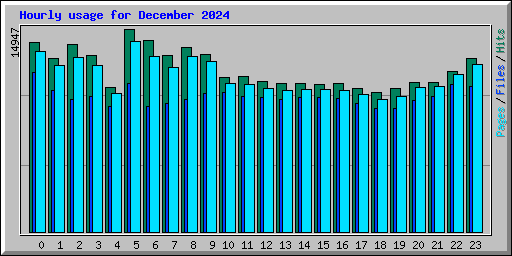 Hourly usage for December 2024