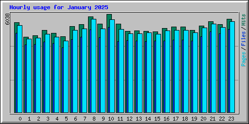 Hourly usage for January 2025