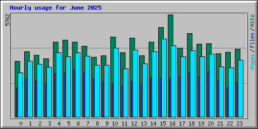 Hourly usage for June 2025